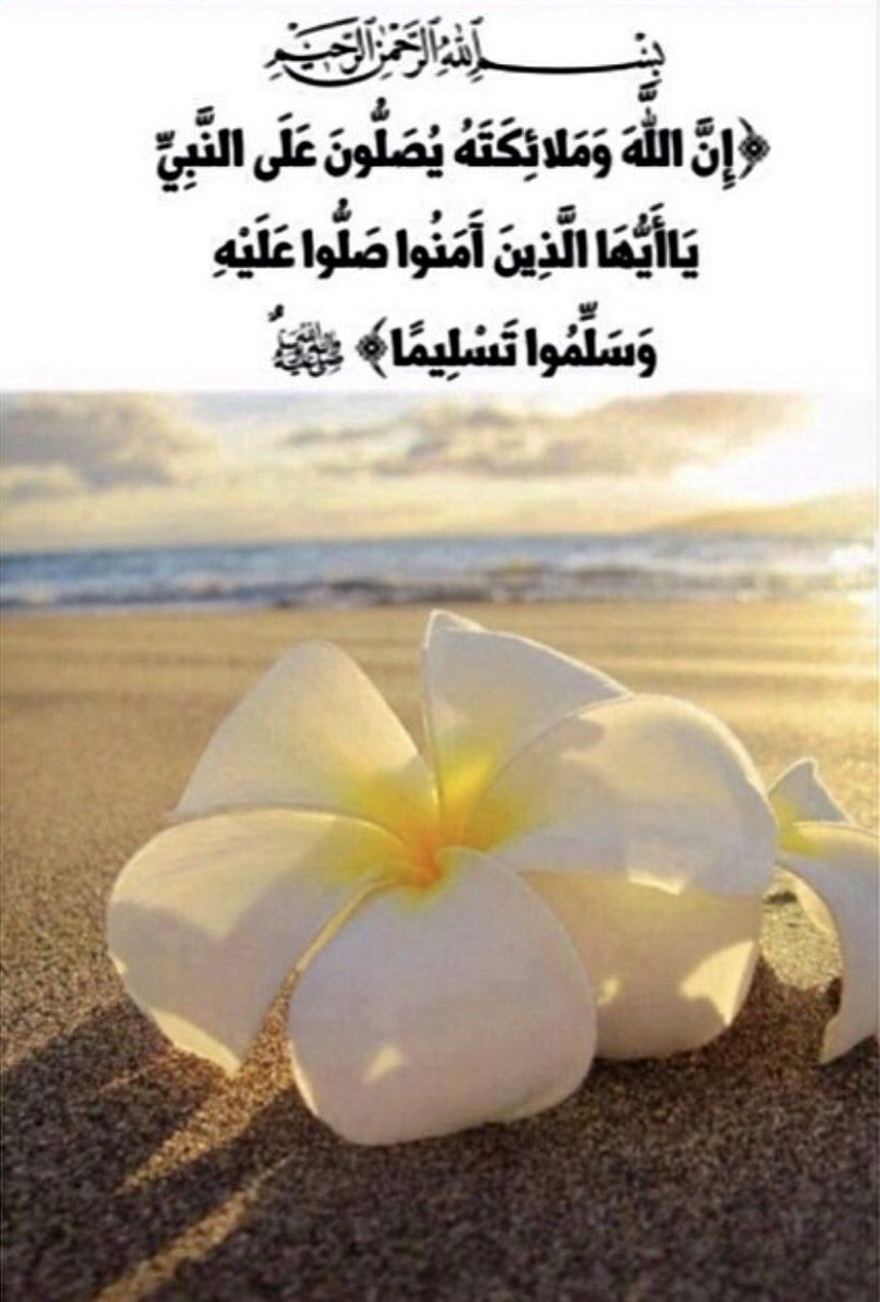 🌼اللهم صلِ وسلم على نبينا محمد🌸 

🌸اللهم صلِ وسلم على نبينا محمد🌼

🌼اللهم صلِ وسلم على نبينا محمد🌸

#تغريده_بصلاتك_علي_نبينا_محمد