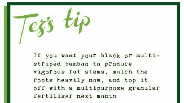 Check out the latest tip here from Tez from <a href="/tonyalmonds/">Tony Almond</a> in #Waterloo #tipsbytez #SeftonHour