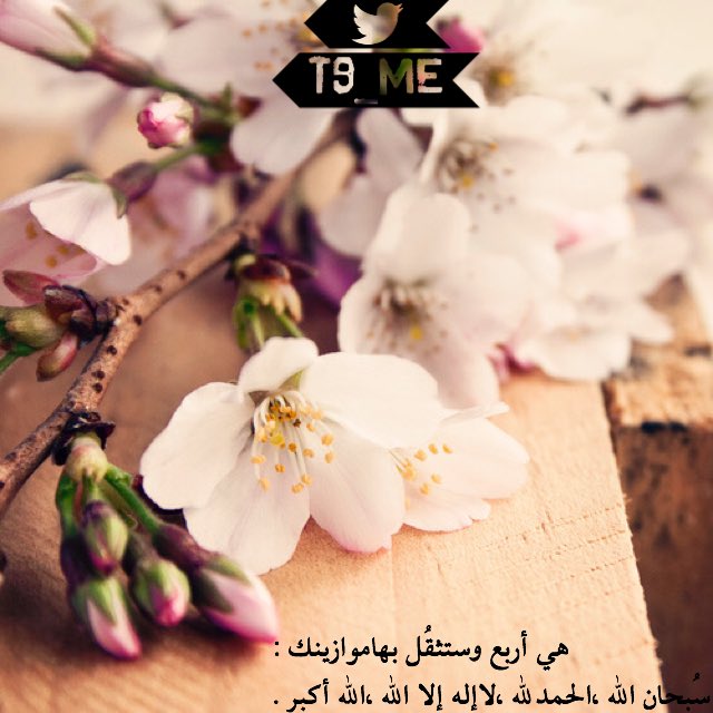 #تغريده_بصلاتك_علي_نبينا_محمد