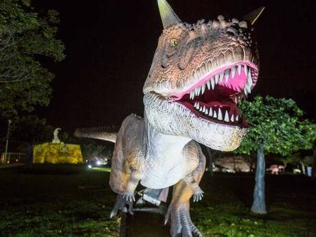 JaOceanKR's tweet photo. Dinosaurs come to life at Dubai Park 
두바이 파크에 곧 공룡이 나타납니다. 알고계셨나요? 티라노사우루스는 사람보다 13배 멀리 내다볼수 있습니다.
https://t.co/ghP0oUUqgc https://t.co/LXxXbTKx6h