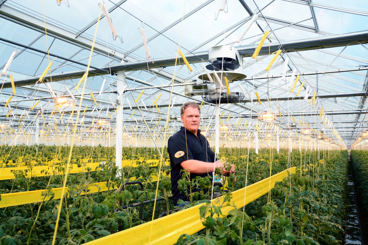 OnderGlas's tweet photo. Beperking lichtuitstoot vergde creatieve oplossing FreshValley. Egaler klimaat door combinatie twee verticale ventilatoren. Nu in @OnderGlas https://t.co/dGE2kK4F9M