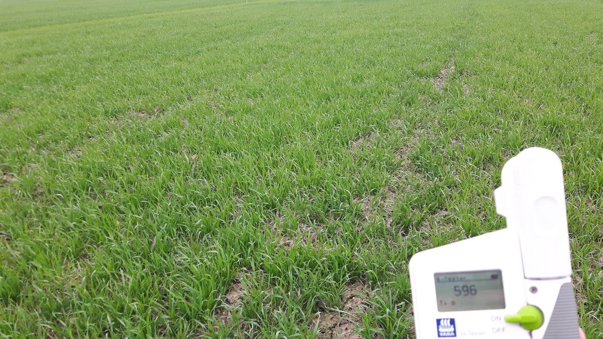 Demo wt flevoland, Yara N tester toont noodzaak snelle bijbemesting basisveldje. Wie nog interesse in metingen?