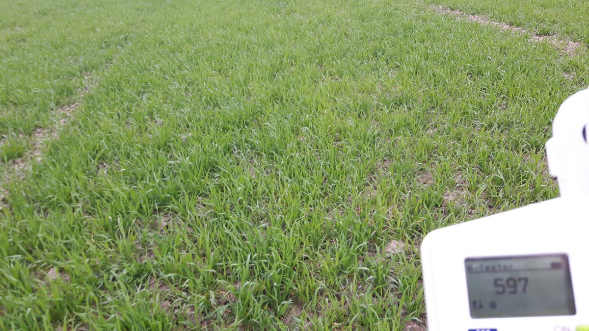 Yara N tester toont noodzaak snelle bijbemesting demoveld WT Flevoland. Wie nog interesse in metingen?