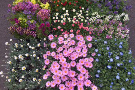 yokohamaredbric's tweet photo. 明日から2日間、『フラワーマルシェ』でお花や多肉植物を販売します♪場所はNAKANIwAのエントランスゾーン。素敵な植物が見つかるかも!? #横浜 #赤レンガ倉庫 #NAKANIwA https://t.co/Ftt0AC8PEO
