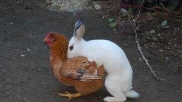 And that's how Easter Eggs are made 🐣 #EasterWeekend