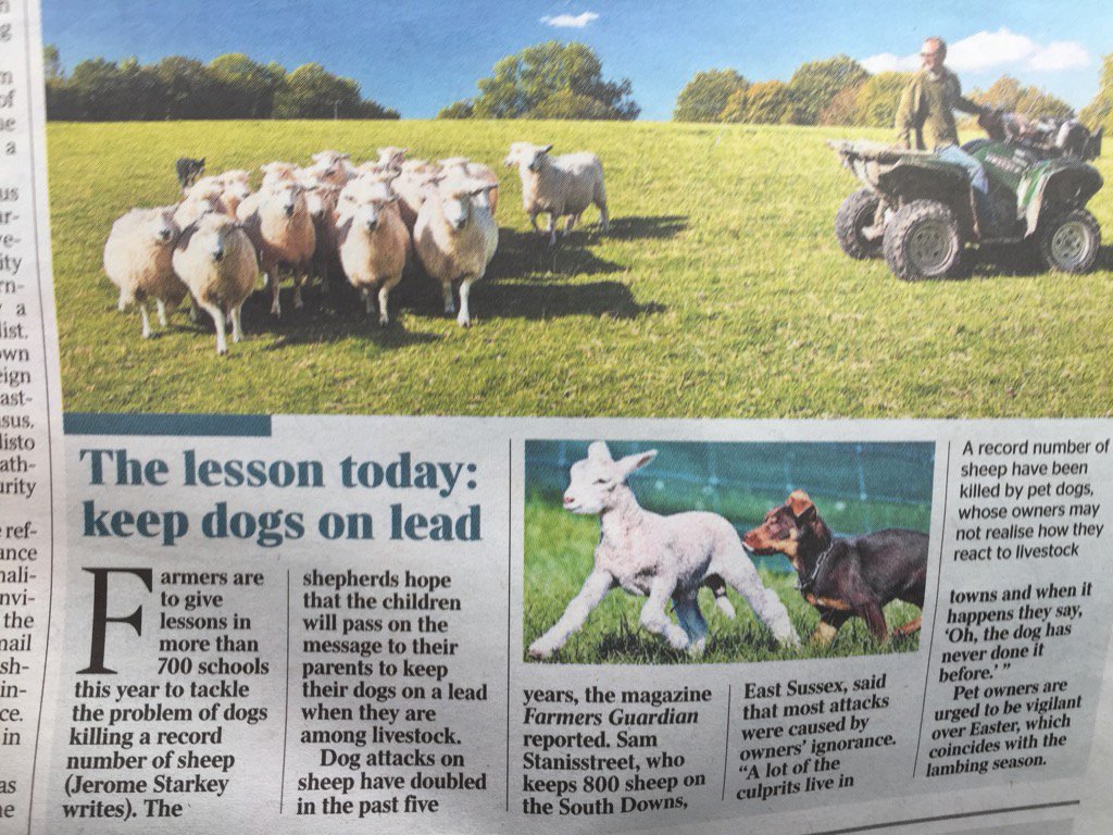 Ben1Briggs's tweet image. FG's Take the Lead livestock worrying message and education plan in @thetimes All credit to @FGoliviamidgley