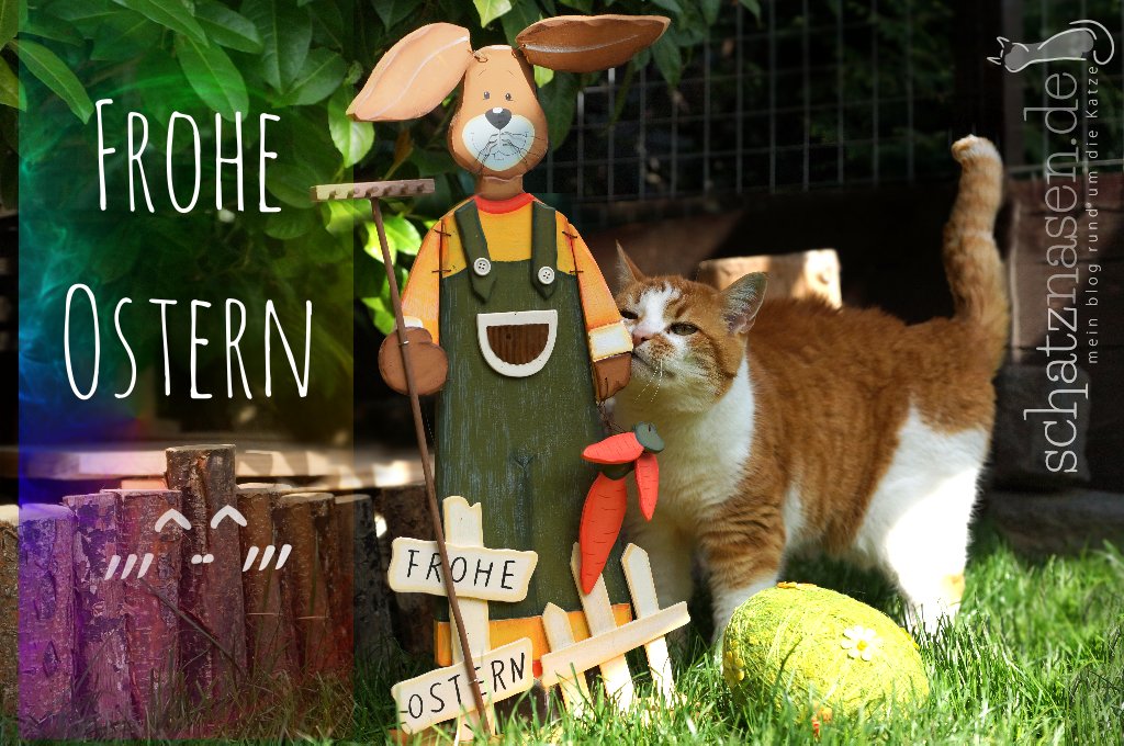 Wir wünschen allen Schatznasen-Fans von &lt;3 en  Frohe Ostern!