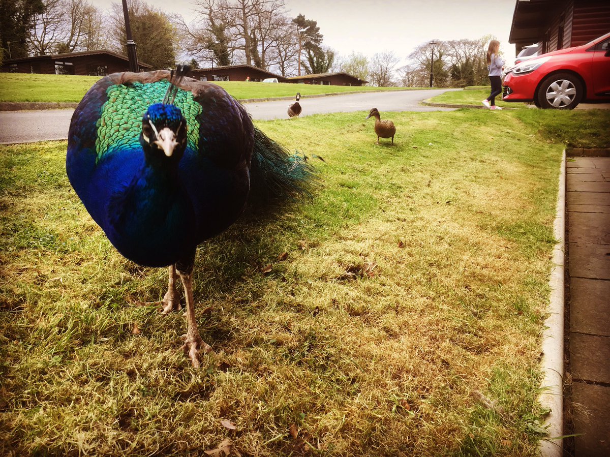 It's always nice to meet the locals when on a shoot... #film #marketing #wildlife