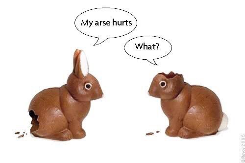 Robban Petersson (@robbanpetersson) on Twitter photo 