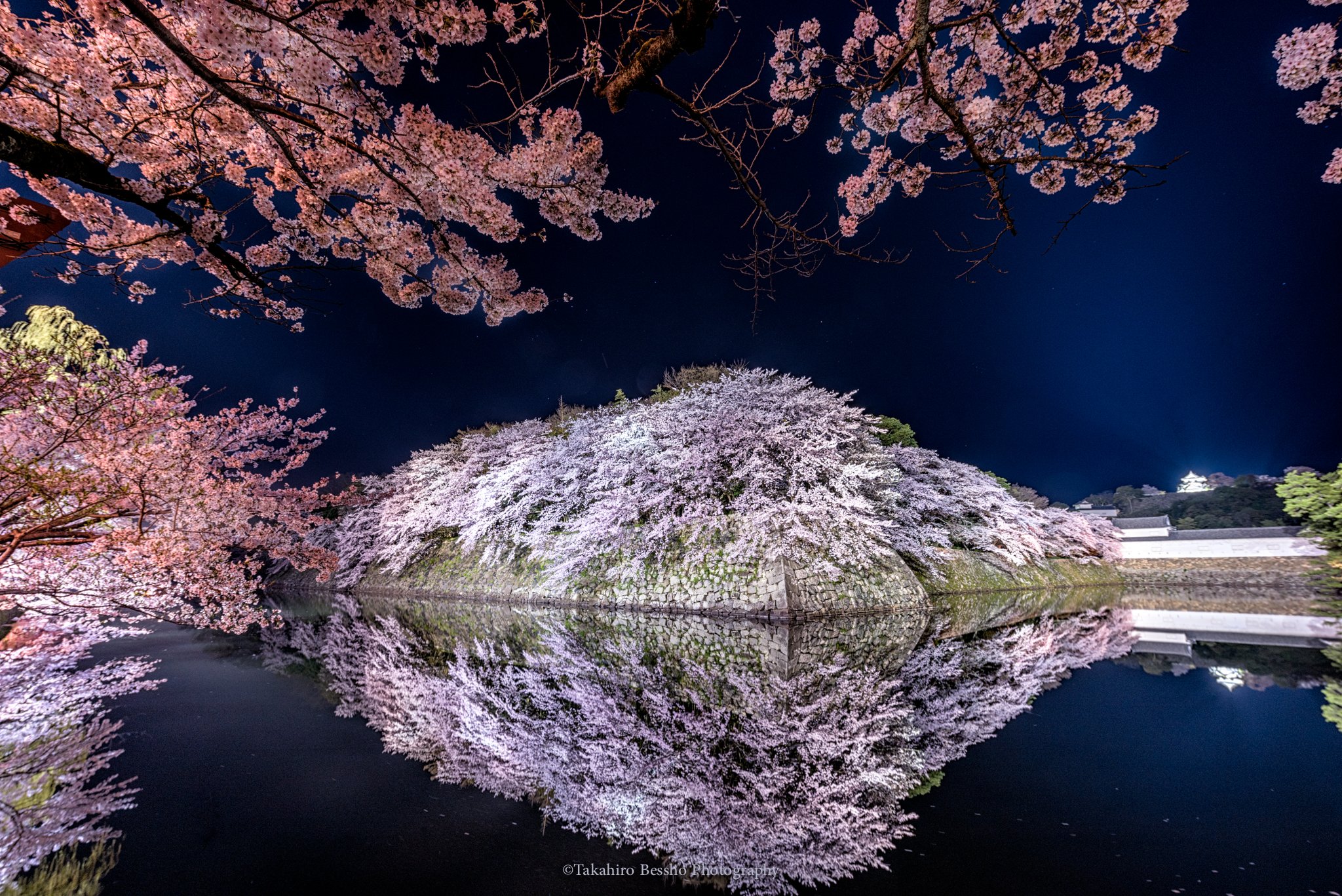 別所隆弘 Takahiro Bessho 彦根城の桜 今年も無事 無風のリフレクションを収めることが出来ました 昨日撮影 410周年ということで去年よりも人が多かったような気がします 彦根城 桜 Sakura Japan 滋賀 彦根 T Co Jqw5wfue4h Twitter