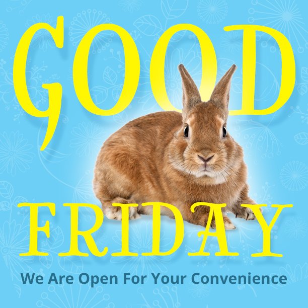 amohrmitsubishi's tweet image. Yes! We&apos;re open! #AndyMohr #DriveMohr #Easter #Bunny #GoodFriday