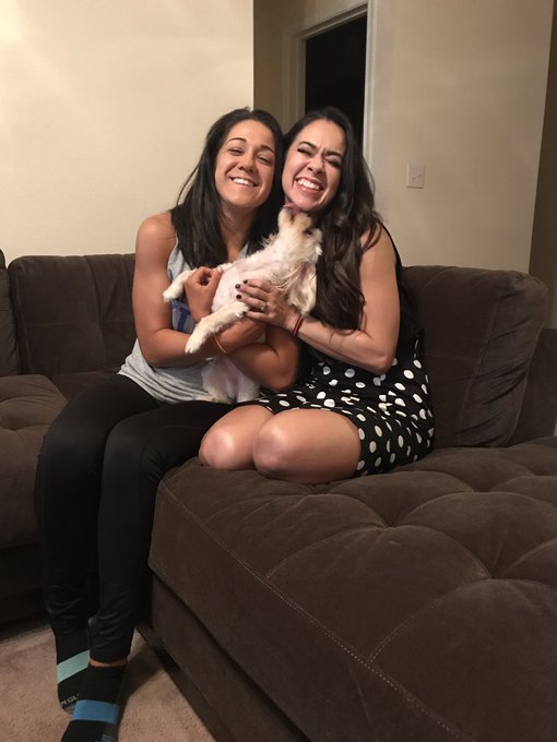 Ver imagem no Twitter