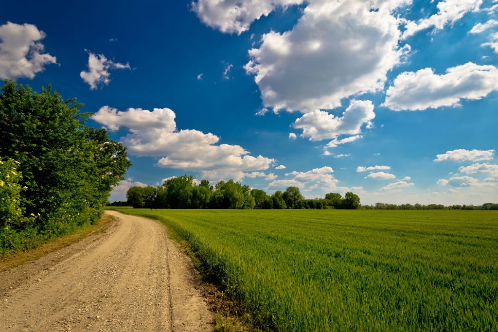 #Podravina is Slavic name for the #Drava river basin in #Croatia. #WhyCroatia? Because it's so beautiful!