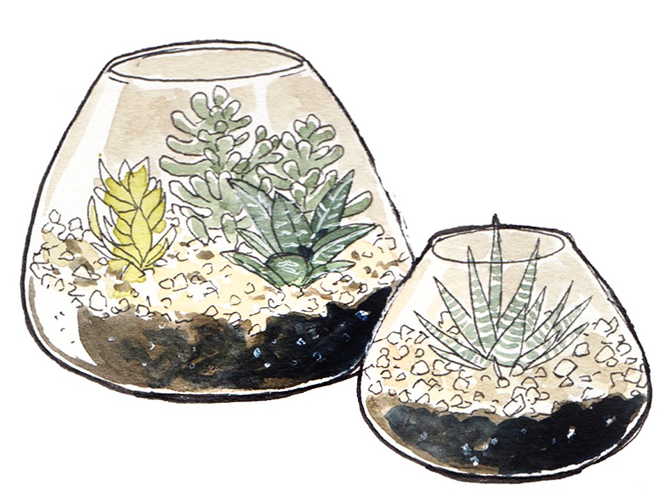 Vic 🌱 💜💙 II TO on Twitter "Watercolour terrariums I painted last