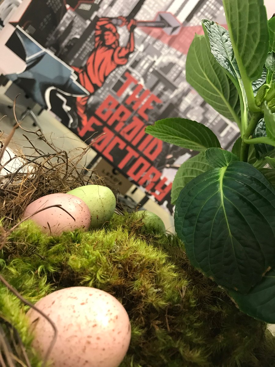 Feeling festive at TBF! Happy Easter weekend to everyone celebrating 🐰