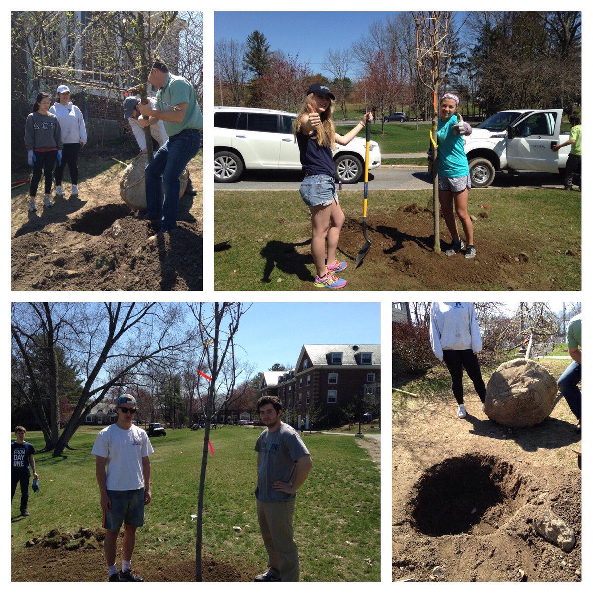 kate_d3's tweet photo. Beautiful day for #treeplanting @babson @BabsonSustain #students #facilities #staff #earthdayprep https://t.co/OcNqQeUR7W