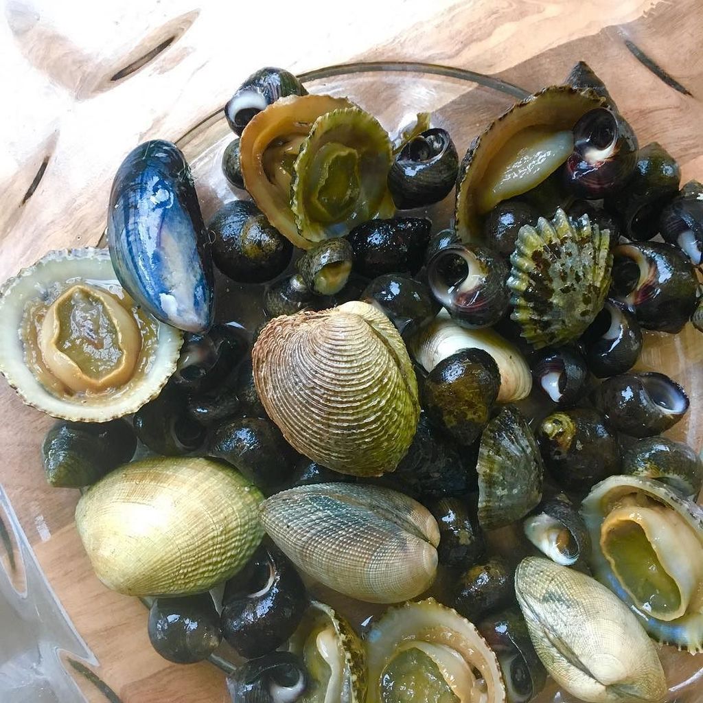 KlawWizard's tweet photo. Lovely little bounty after a little beachcombing today on the @wildatlanticway Starter to follow yum 👅🦀🦀 https://t.co/DH4ZZhJsUj https://t.co/ulBnuEx5oQ