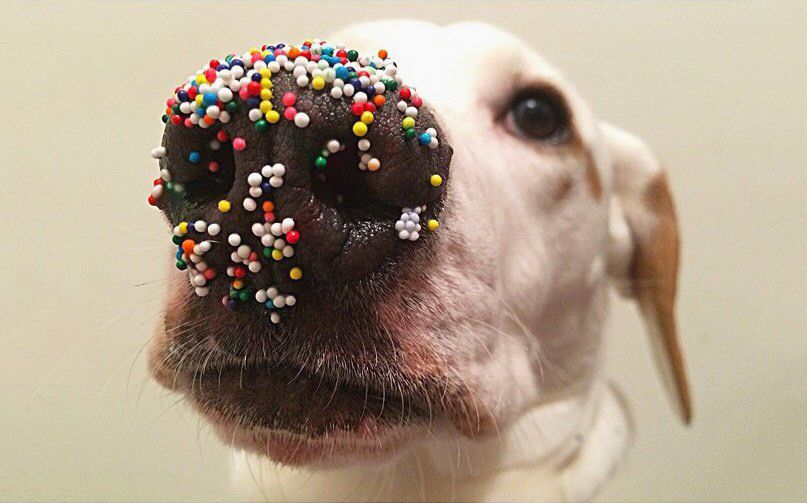 Подразделения ГосЧС перешли на усиленный режим дежурств на время Пасхальных праздников - Цензор.НЕТ 3369