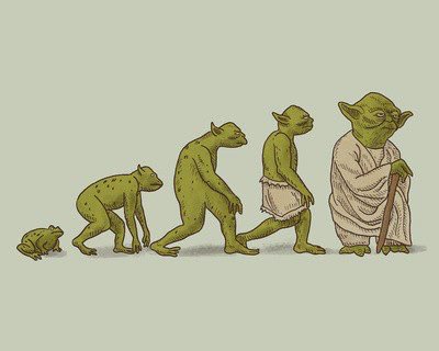 arton_ayers's tweet photo. the truth of Yoda
#starwars #yoda #funny https://t.co/ZxxueqwyFt