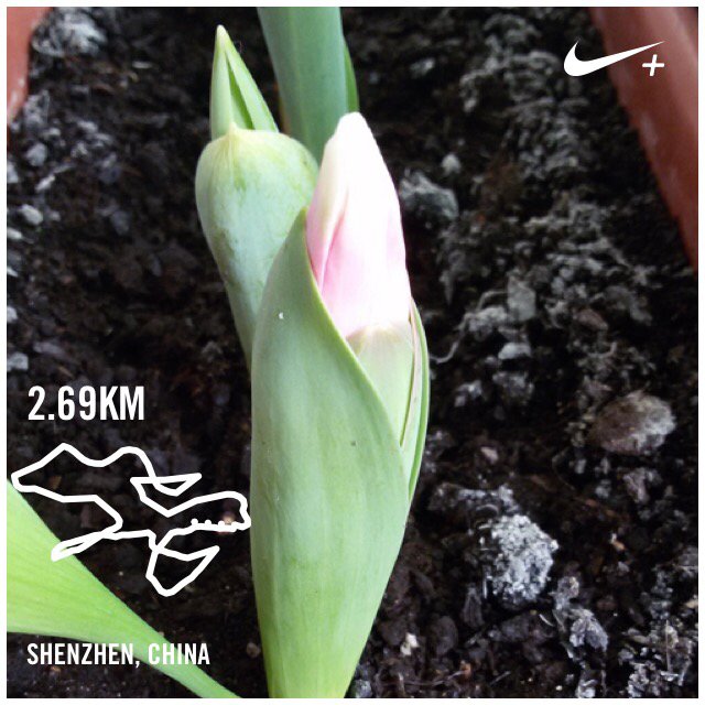 mmss7688's tweet photo. Day4-12.3k/365k I just ran 2.69 km with Nike+. https://t.co/jp7bLVWVdX #nikeplus https://t.co/81iymz4JGs