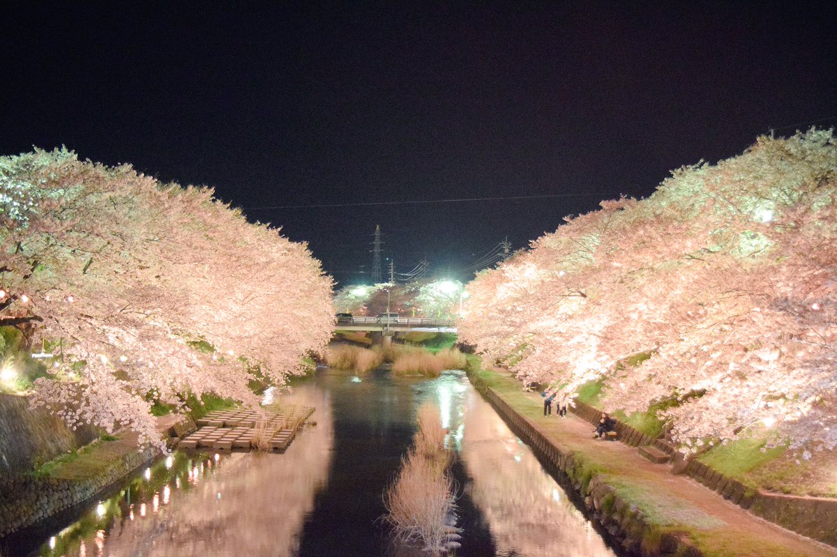 美祢さくら公園 美祢さくら公園