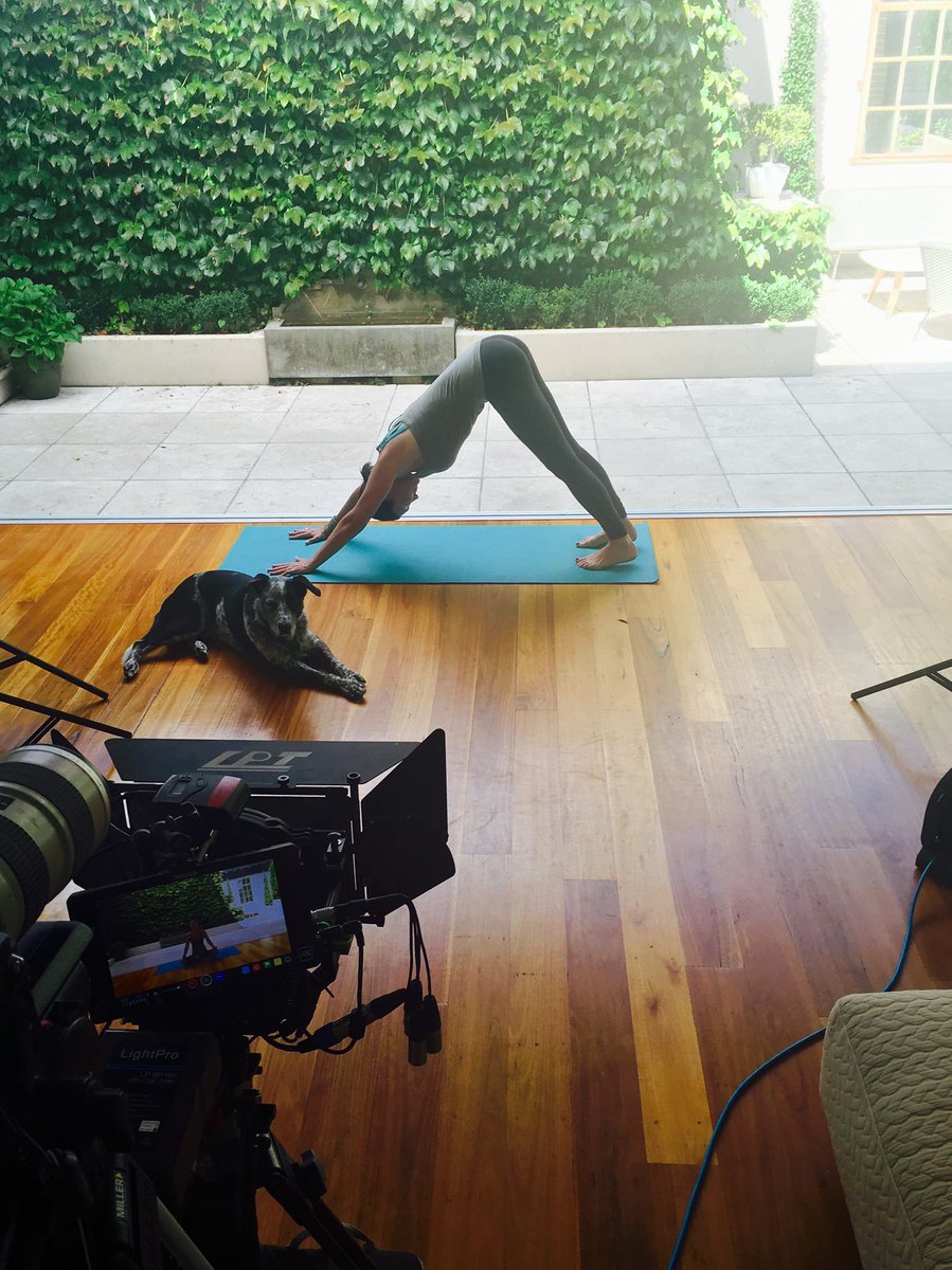 Move123virtual's tweet image. Did somebody say down dog? 🐶 #furryfriend #downdog #move123 #yogalife #virtualfitness #yogaeverydamnday #fitspiration #dogsonset #photobomb