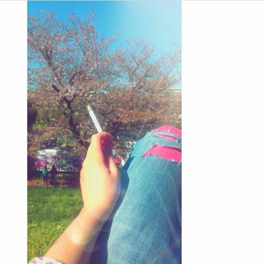 layal_kb's tweet photo. Officially #Spring in #Syria 😍💙 https://t.co/mqHMovTDQi