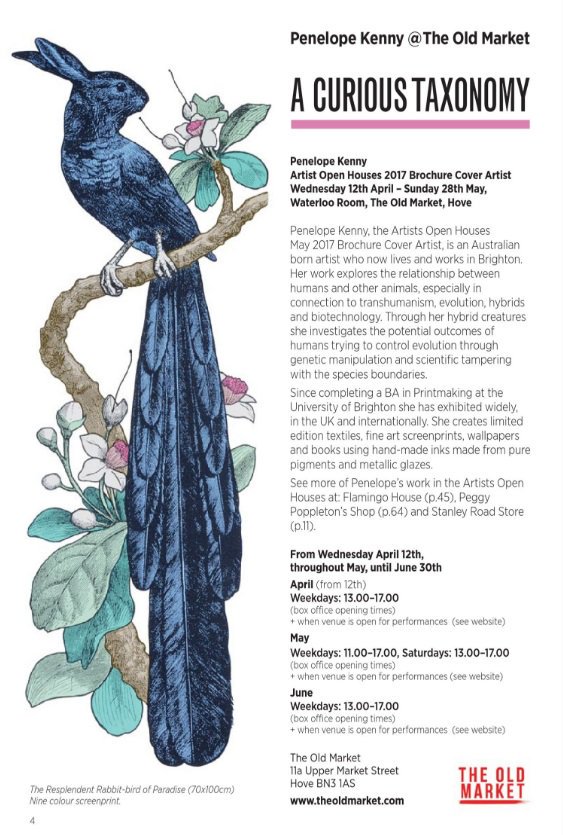 Thank you <a href="/artistshouses/">Artists Open Houses</a> for the opportunity to be cover artist on the brochure this year. The rabbit-birds around #brighton look wonderful.