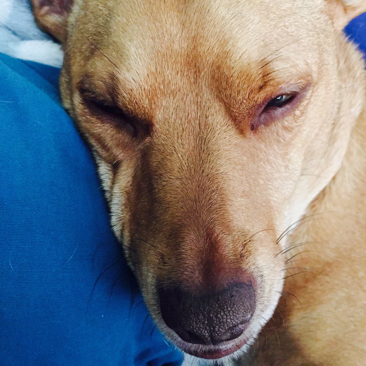 Marnie Vinge tweet media