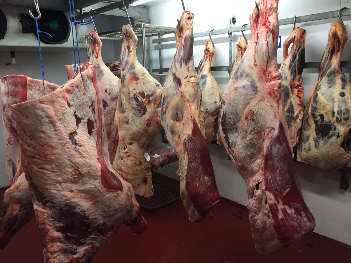 Beefs in ready to go