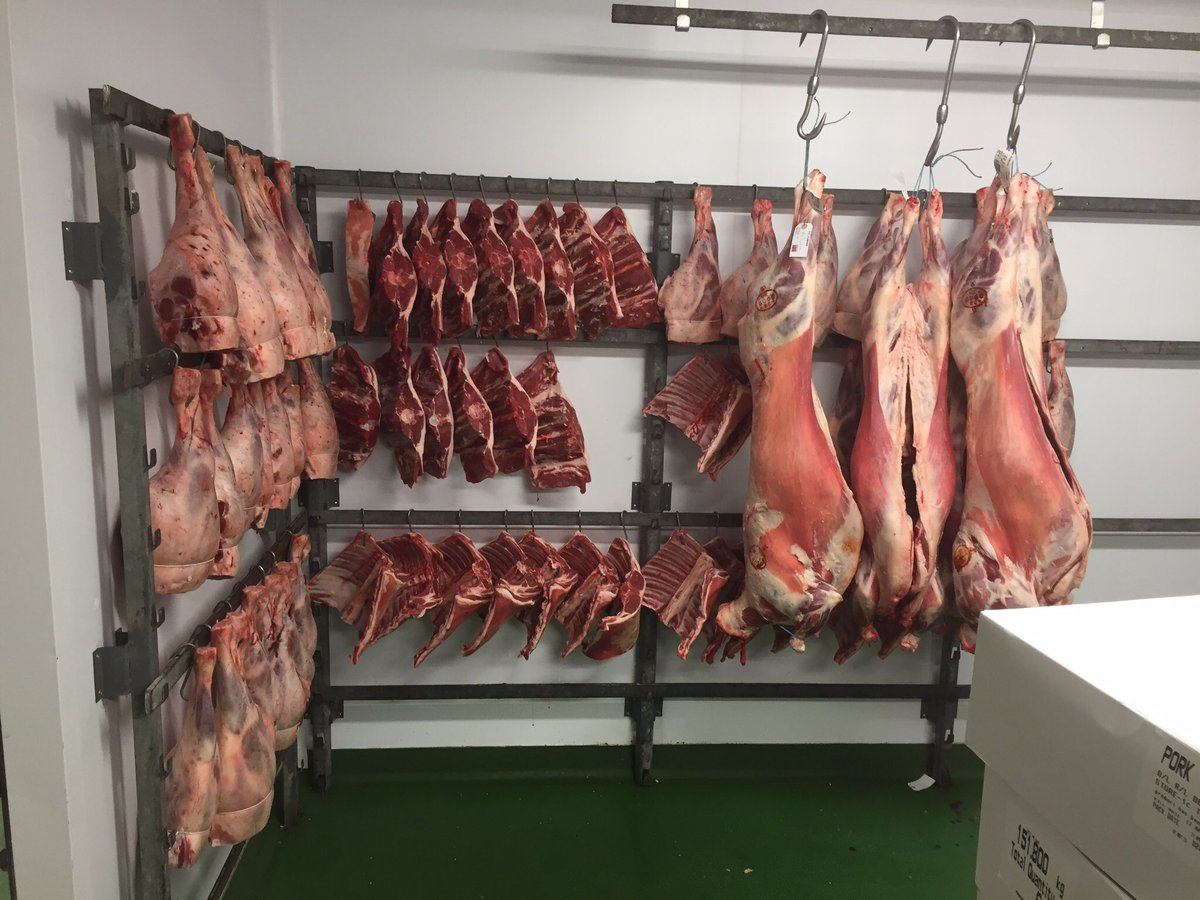 Lamb ready for the morning