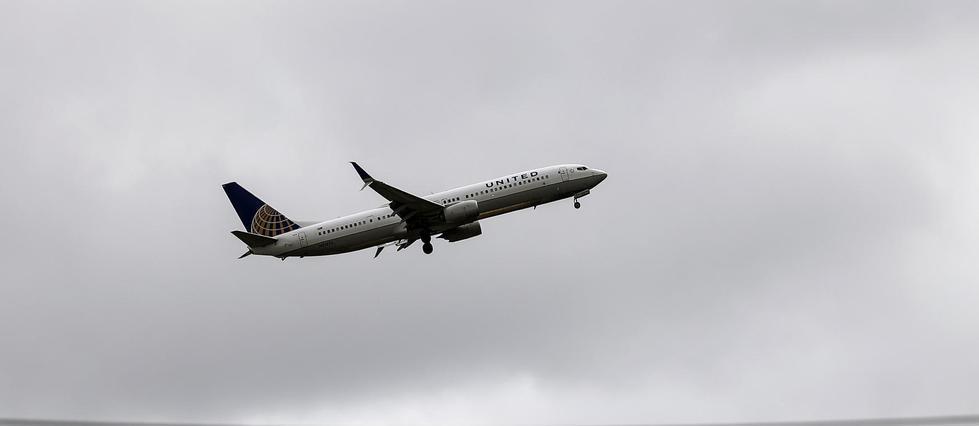 LePoint's tweet photo. Un scorpion pique le passager d'un avion United en plein vol https://t.co/Mw4s7Q54sP https://t.co/bze9GWBuuu