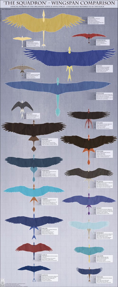 Wingspan Chart