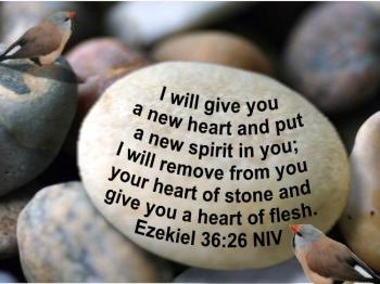 LeeStrobel's tweet photo. https://t.co/wN2dGIfYjY