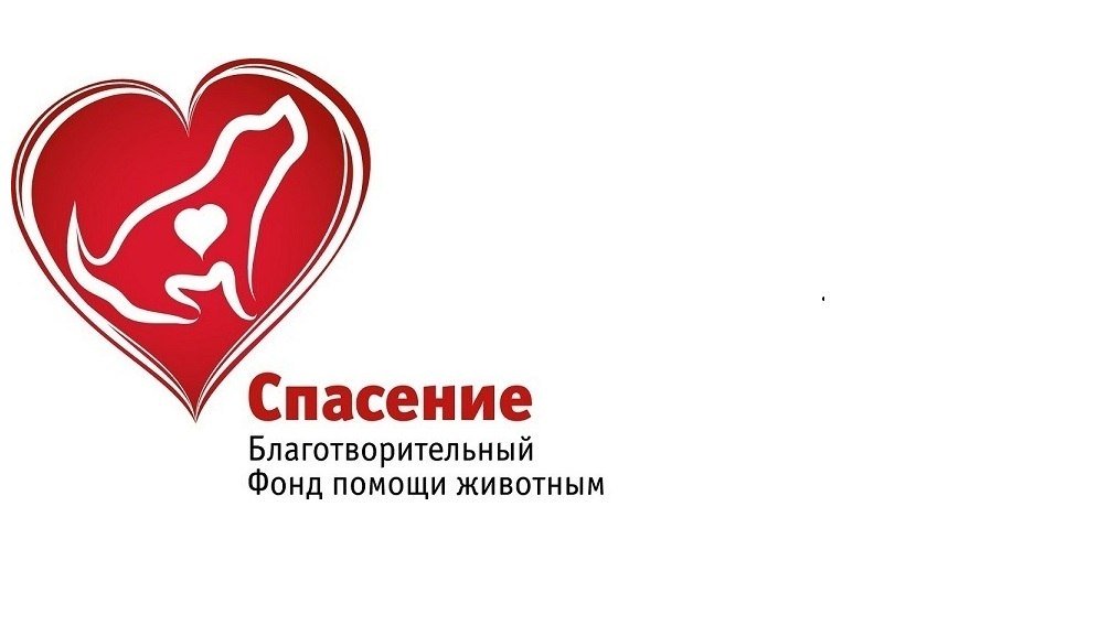 Благотворительный фонт. Благотворительный фонд рисунок. Фонд дальше вместе. Благотворительный фонд добросвет воронеж. Благотворительные фонды помощи онкобольным vmesteplus.