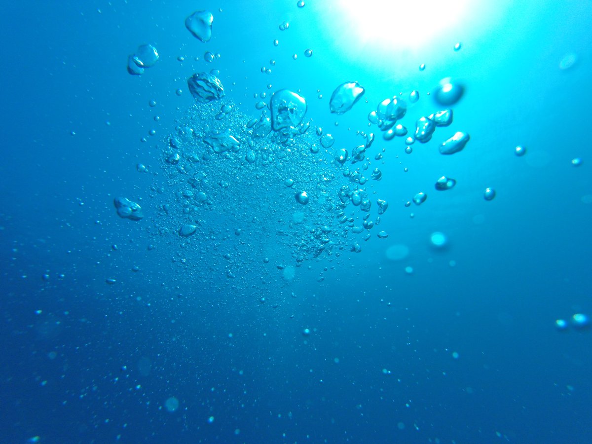 alexandros_venn's tweet photo. #Scubadiving #DivingStore #Padi #Greece https://t.co/rdRfpcshBe
