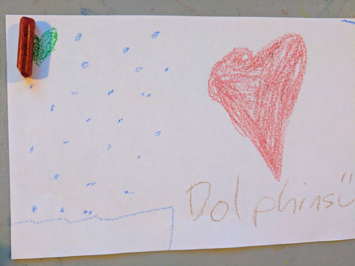 At Clearwater Aquarium because we love dolphins! #cmainspires