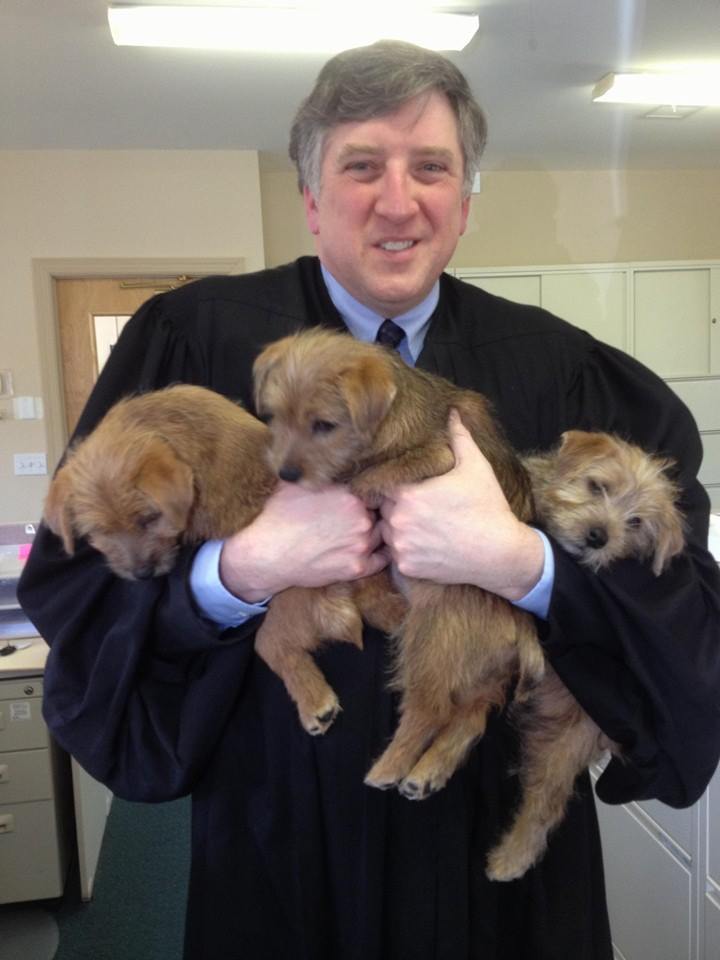 FriendsofDJGary's tweet image. Judge Gambardella has been a strong protector of animal rights.  He is currently seeking re-election.  Support our local judge!
