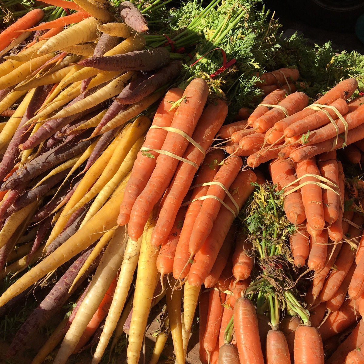 These fresh rainbow carrots from the #farmersmarket are a great find - we love cooking w/ them! #GlutenFree #DairyFree #Kosher #JacksGourmet