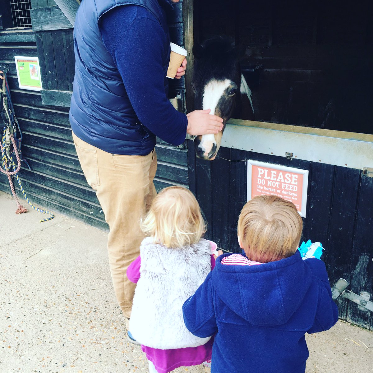 AWNTuk's tweet photo. Great day out for toddlers at Bocketts Farm, Leatherhead #familydayout #dayoutwithtoddlers #adventurefarm https://t.co/n9W99MrSPo