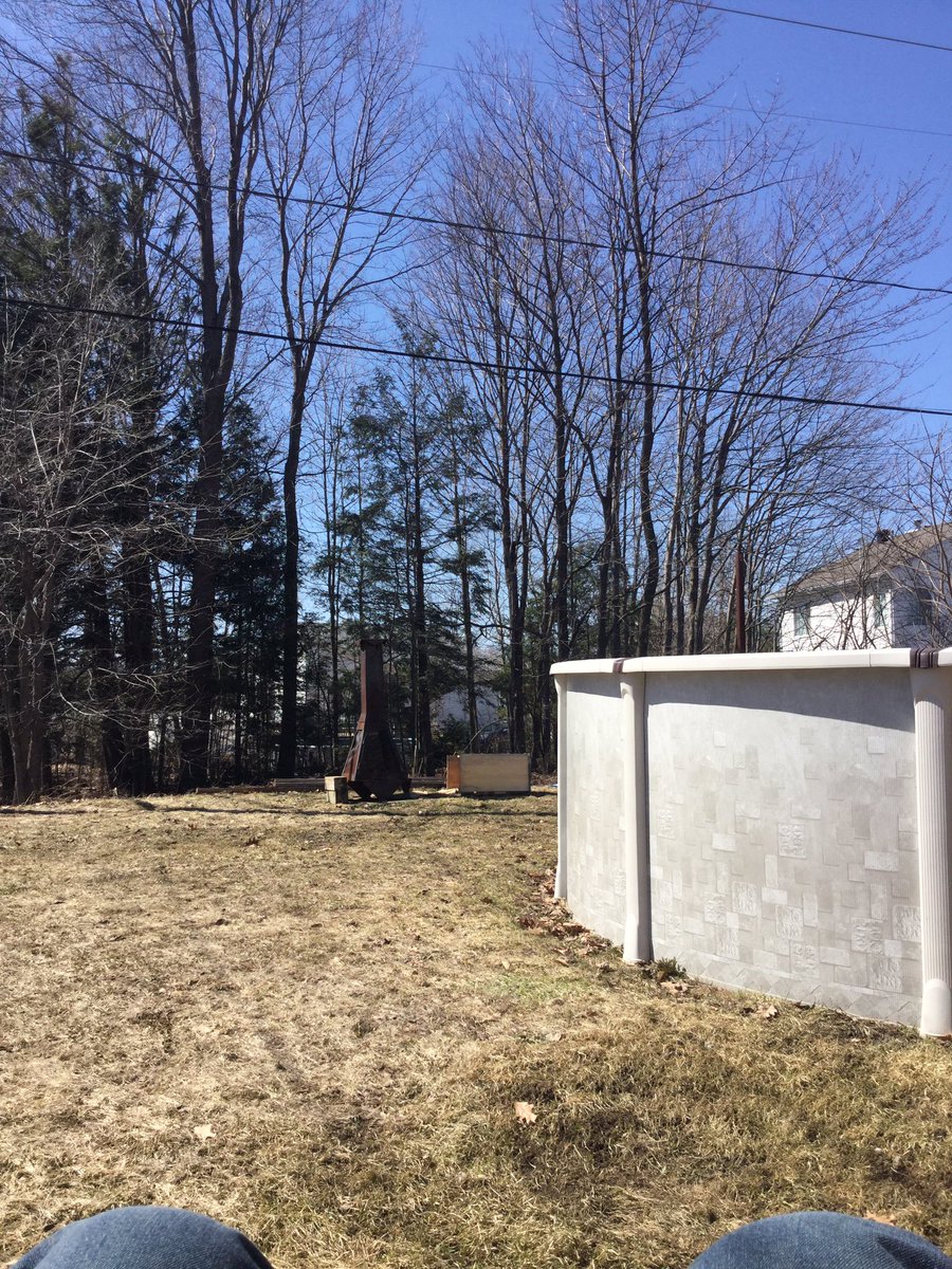 JoeCollardo's tweet image. Fait beau allé pousser les feuilles