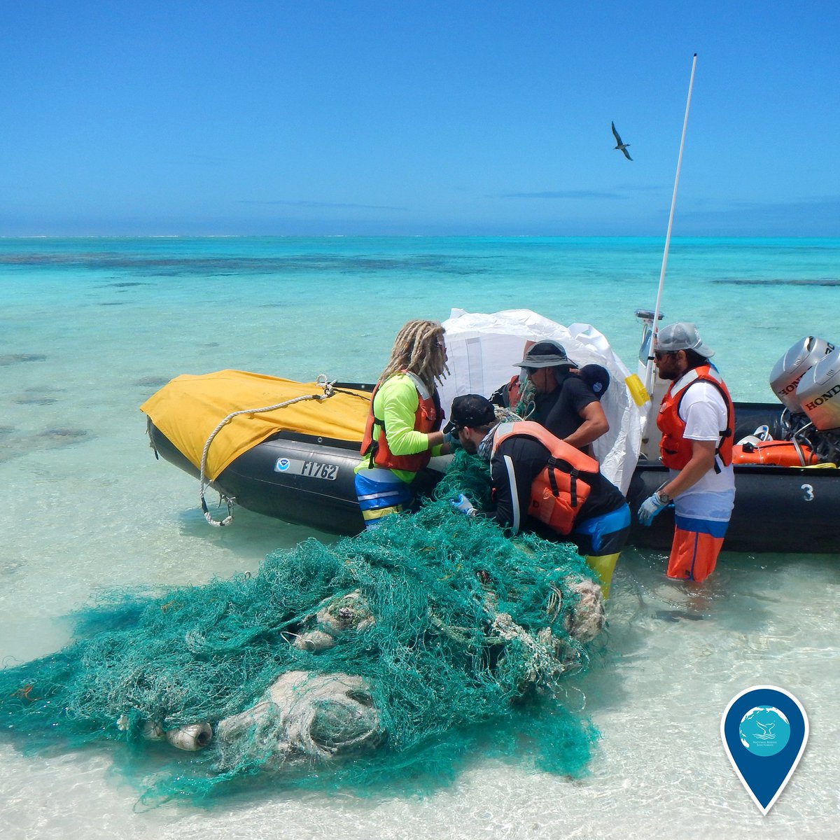 sanctuaries's tweet photo. 100,000 pounds -- that's how much garbage has been removed from @HawaiiReef over the last 6 years! https://t.co/fTKSsthPDE #EarthIsBlue https://t.co/BZK0Dwf51j