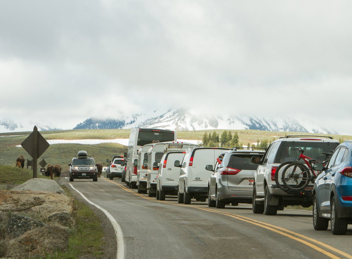 YellowstoneNPS's tweet photo. Please be patient & zen when here—visitors and wildlife abound here in summer! #YellowstoneTripTips #TripOfALifetime https://t.co/wI9vo0GjJK