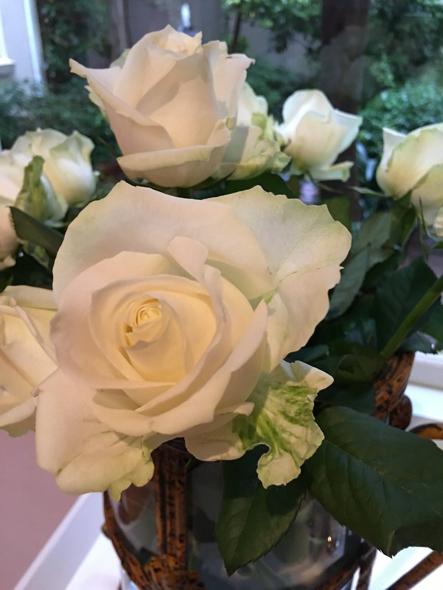 Kobie Richards (@revuep) on Twitter photo 