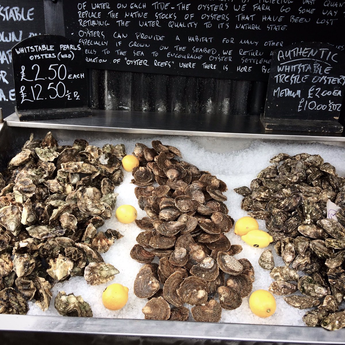 Whitstable oysters #bankholiday #seasideadventures