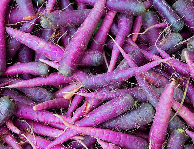 FieldGoods's tweet photo. Did you know that purple carrots have more antioxidant power than their orange counterparts? Purple power! #EatTheRainbow #ColorMeHealthy https://t.co/UG48RozVki
