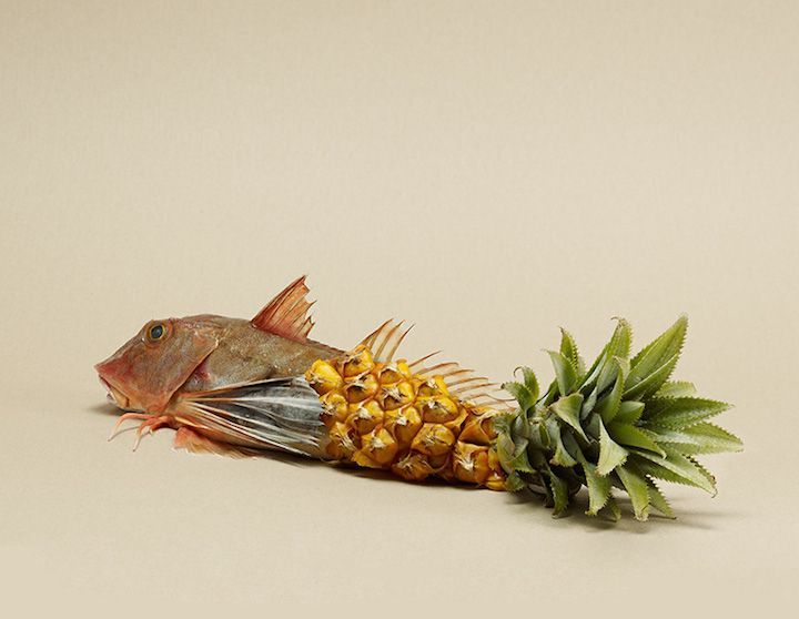 witandvoi's tweet photo. Am Karfreitag wird selbst die Pineapple zum stillen Fisch. Frohe Ostern <3
#happyeaster #goodfriday #pineappleoftheweek #witandvoi https://t.co/KQkTJQMcPf