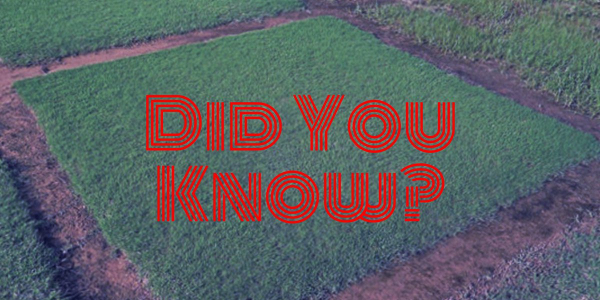 SFM_Magazine's tweet photo. It takes about seven to nine years, from start to finish, to develop new turfgrass varieties. #FieldTipFriday https://t.co/73Aa7qWpxS