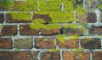 Suffering from #Damp? We can help identify the cause goo.gl/k0Nmg8