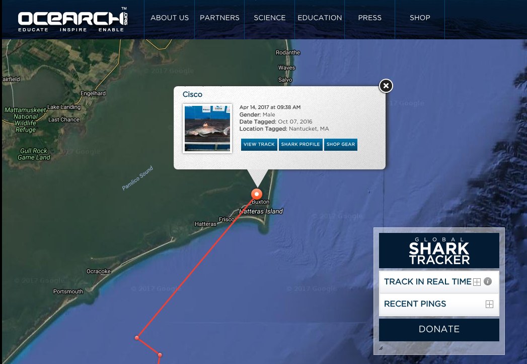 OCEARCH tweet media